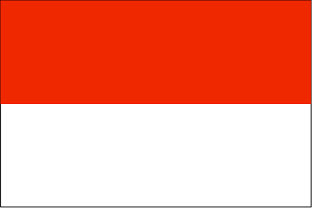 Image result for indonesia flag outline