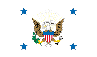 Vice Presidential Flag