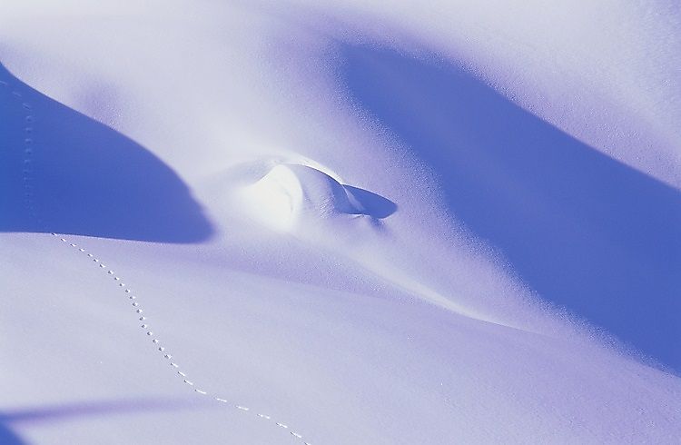 Barren Arctic landscape.