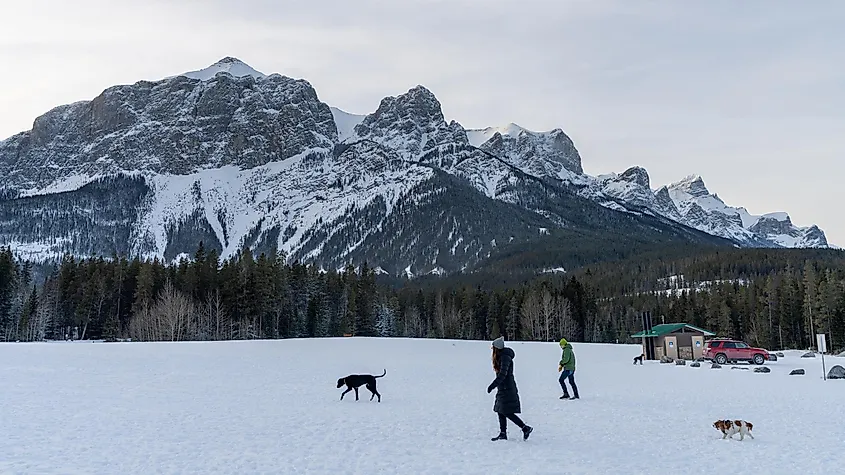 Canmore, Alberta, Canada: People are walking the dogs in Quarry Lake Off-Leash Dog Park in winter