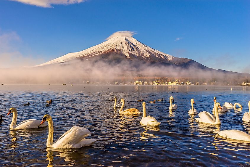 Mount Fuji, the highest peak in Japan.