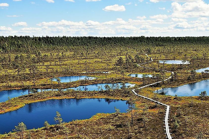 A nature trail through the Mukri bog in Estonia.