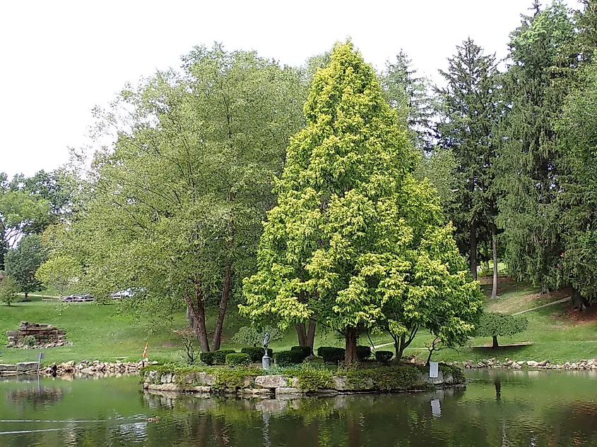 Silver Park, Alliance, Ohio