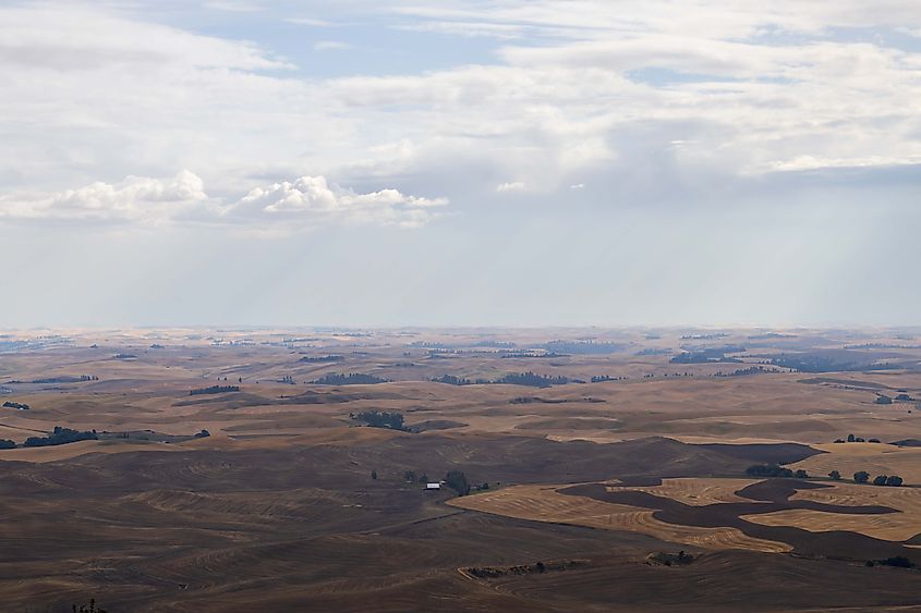 The view from atop Steptoe Butte across the grasslands of the Palouse