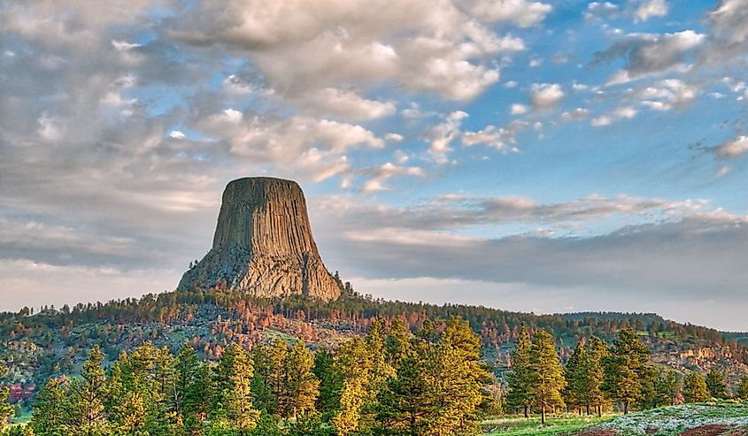 Devil's Tower National Monument in Wyoming Under the Early Morning Cloudy Sky with the forest in the foreground